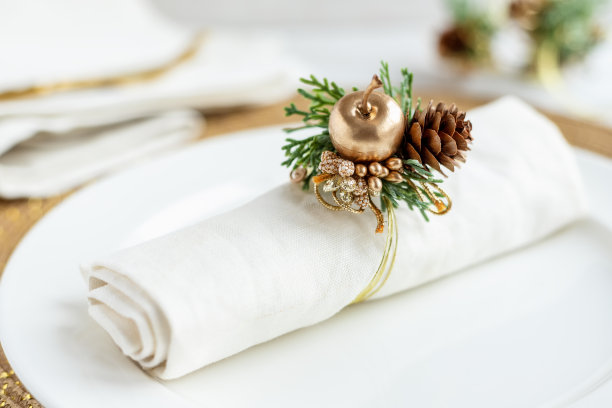 圣诞餐盘布置图片下载