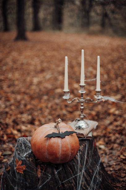 万圣节的南瓜和节日的装饰在秋天的户外树木之间的枫叶图片下载
