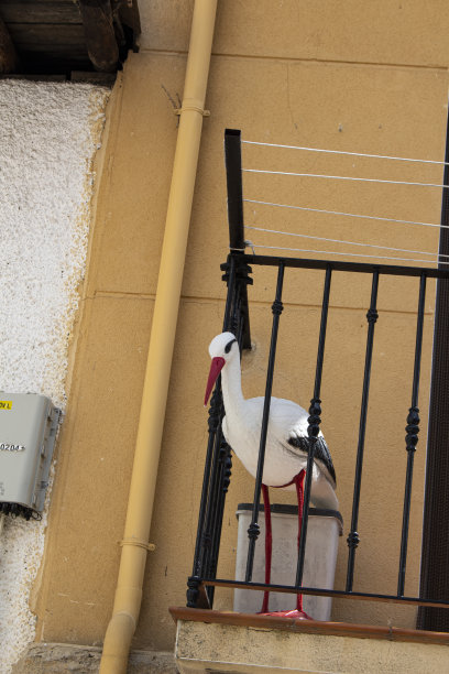 装饰鹳图片下载