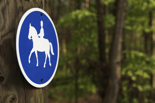 这是一条专为骑马者准备的道路图片下载