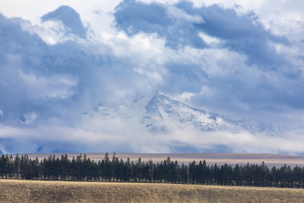 这张照片拍摄的是位于新西兰一大片棕色农田后面的雪山图片下载