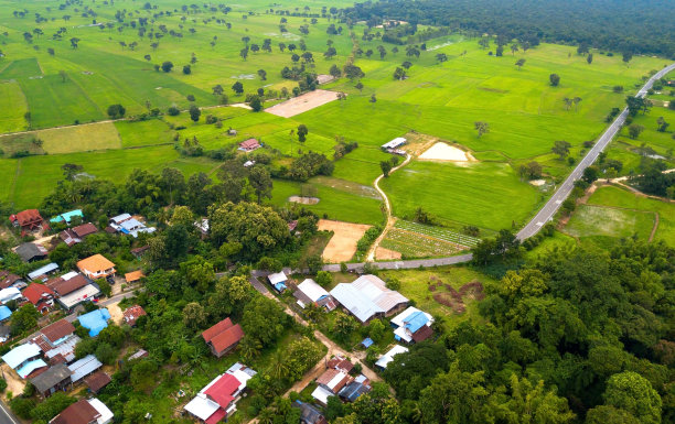 从空中俯瞰美丽的绿色稻田和村庄的无人机航拍照片。这条路穿过小村庄，通向绿色的稻田。泰国东北部的老房子。图片下载