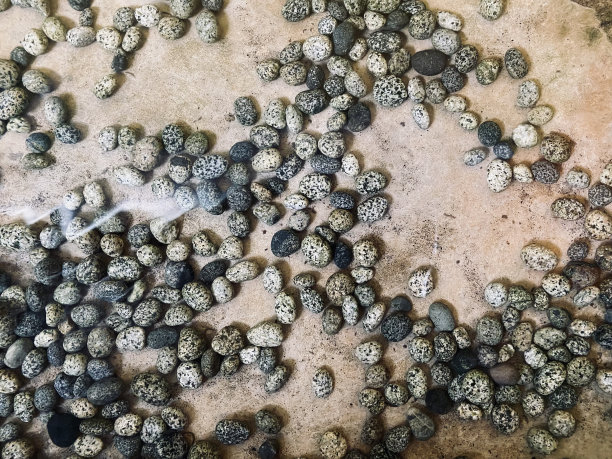 池中的天然石材，美化池的天然石材图片下载