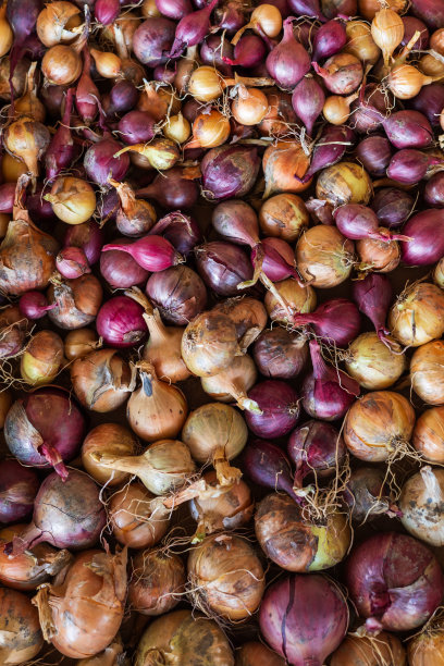 花园的蔬菜。洋葱撒在箱子里。美丽成熟的水果。从上面的照片- Flatlay照片图片下载