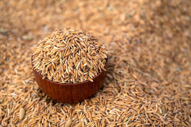 在模糊的谷物背景下，在木杯子里的帕迪。模糊的背景从一堆水稻和水稻种子。照片选择焦点。图片下载