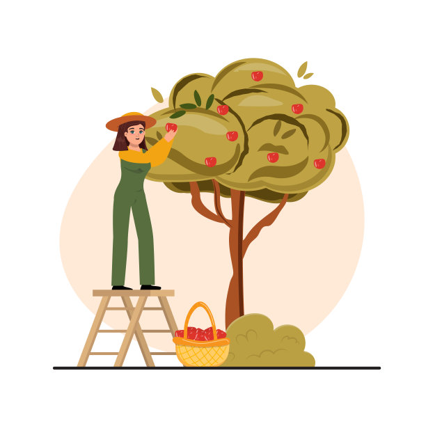 图为一位女农民从树上摘苹果图片下载