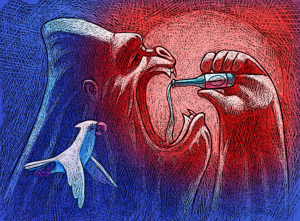 大猩猩拿着啤酒瓶喝图片下载