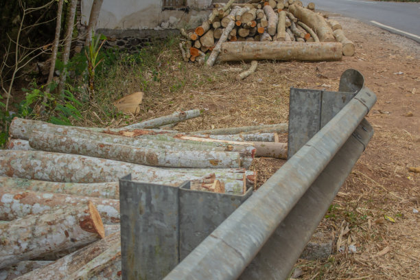 在道路隔离带后面有一堆木头图片下载