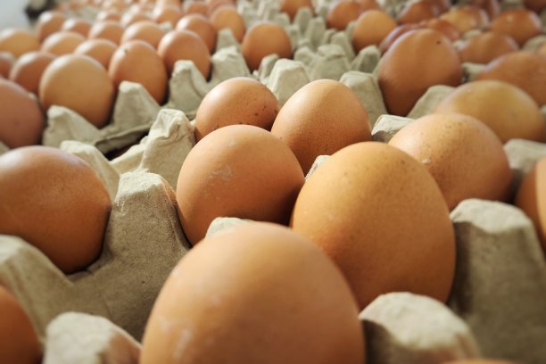 近距离照片安排鸡蛋在鸡蛋托盘盒上的食品杂货图片下载