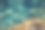 水下照片-浮潜在利亚帕德斯，科孚岛。一群鱼、藻类和海洋植物生长在可见的岩石上图片下载