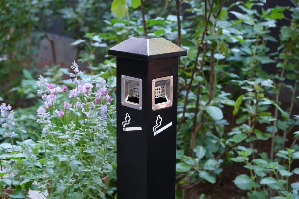 树旁有一个黑色的烟灰缸图片下载