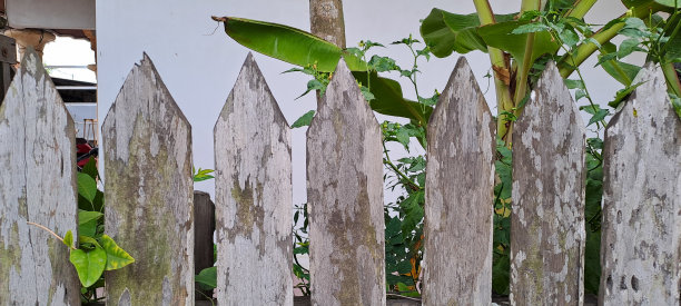 乡村的木栅栏图片下载