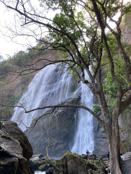 有石头和草的天然水道照片。图片下载
