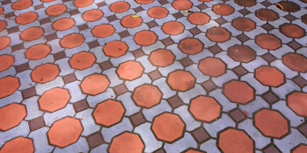 一张照片上的瓷砖地板上有一只鸟，还有一张红蓝相间的瓷砖地板上有一把黄色的伞。图片下载