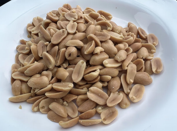 一张桌子上放着一盘花生的照片，上面有一个白色的盘子，上面放着一堆花生。图片下载