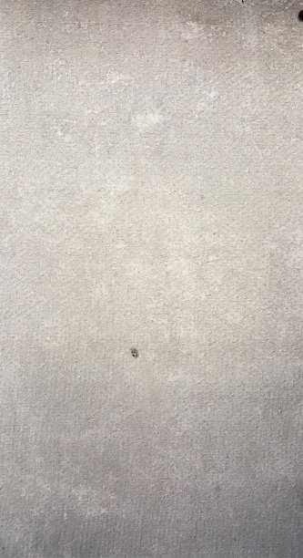 一个人在水泥地面上骑滑板的照片，还有一只小鸟站在水泥地面上。图片下载