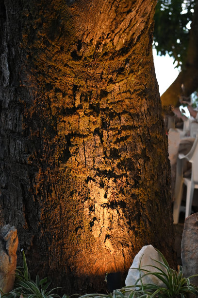 黄色光装饰照明意大利晾衣绳美丽发光的光图片下载