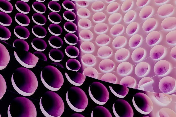 量子模式的高科技小册子，演示文稿，模板图片下载