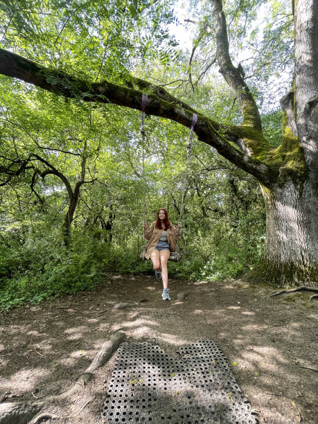 照片中，红头发的女人头顶戴着墨镜，坐在树林的秋千上，沐浴在斑驳的阳光中，木板被绳子吊在树枝上，笑着笑着，这是前景的焦点图片下载