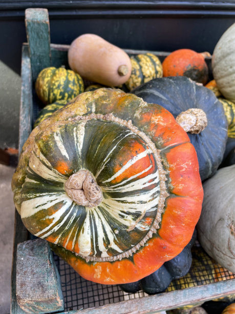 熟透的，白色的，绿色的，黄色的和橙色的南瓜，南瓜和葫芦在市场摊位上的特写图像，木托盘箱与塑料网底座，高架视图，重点在前景图片下载