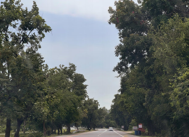 一张有树的街道的照片，路边有一辆车，有一辆车在两棵树之间的路上行驶。图片下载