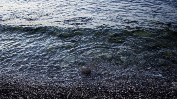 海边的照片，有波浪，傍晚的海边。图片下载