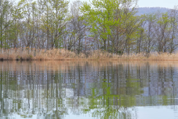 托雅湖图片下载