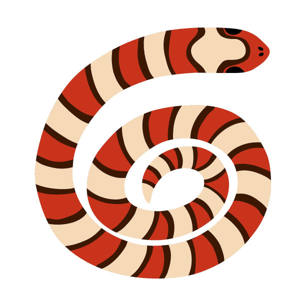 手绘制的蛇在明亮的颜色剪贴画。丛林或动物园的蛇卷成一个圆圈。热带或狂野西部毒毒蛇在俯视图。矢量野生动物概念。珊瑚是危险的蛇。图片下载