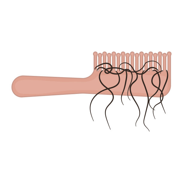 头发脱落的梳子显示脱发图片下载