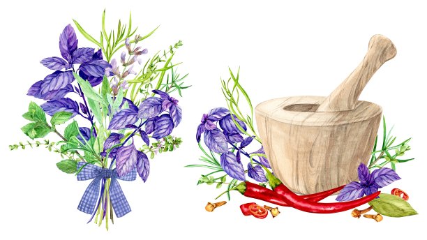 迷迭香，马郁兰，鼠尾草和百里香，罗勒，薄荷，龙蒿。香料和木臼。水彩插图。月桂叶、辣椒、丁香——意大利菜的配料。普罗旺斯风格。图片下载
