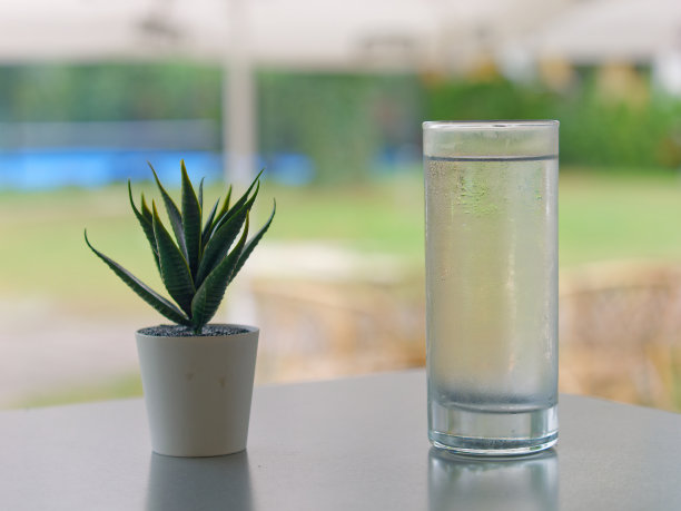 在一个背景模糊的咖啡馆里，桌子上的植物装饰旁边的一杯水的特写照片图片下载
