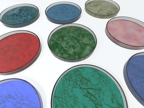 实验室光台上的培养皿3D渲染图图片下载