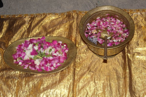 红色的玫瑰放在金色的容器里图片下载