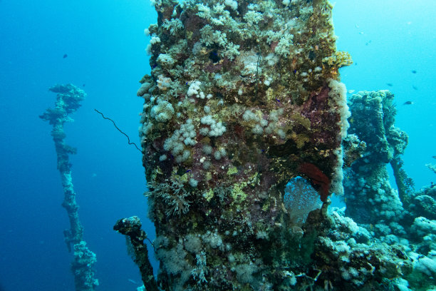 沙特阿拉伯延布红海的沉船图片下载