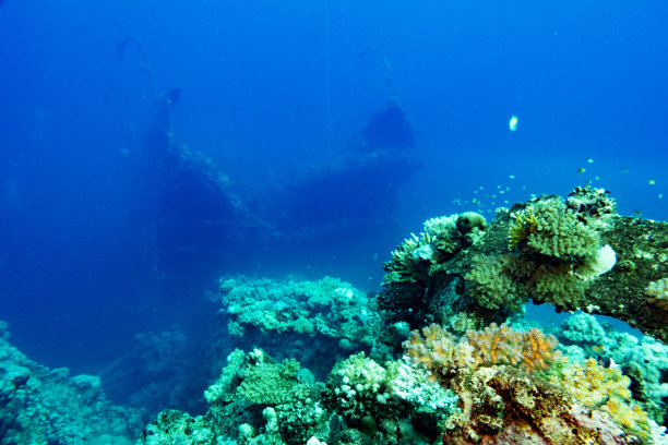 沙特阿拉伯延布红海的沉船图片下载