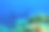 沙特阿拉伯延布红海的沉船图片下载
