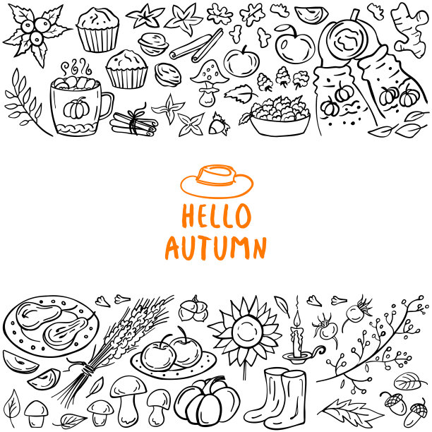 秋天涂鸦卡片-南瓜，树叶，坚果，香料，蛋糕，热饮，果酱，蘑菇，苹果，梨，浆果。矢量插图。完美的秋季菜单，着色书，贺卡，印刷。图片下载