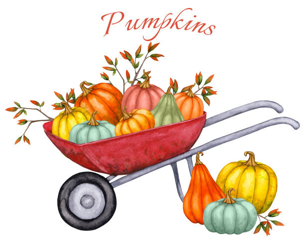 花园手推车里的南瓜。手绘水彩画。感恩节，丰收节。用于设计海报，横幅，明信片，邀请函，公告，广告的现成构图。图片下载