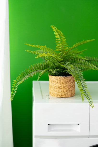 现代白色洗衣机特写照片图片下载