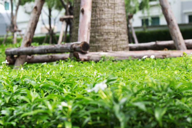 抽象模糊、失焦、模糊图片下载