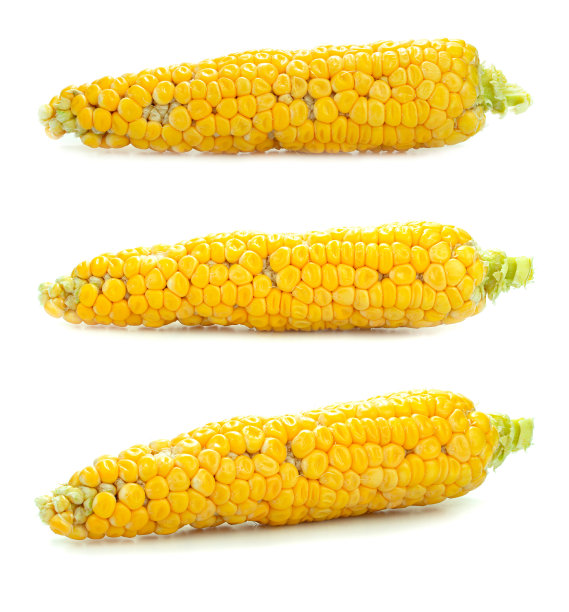 黄色的玉米棒孤立在白色的背景上图片下载