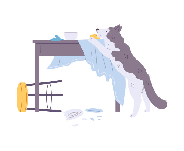 宠物弄脏了，椅子翻了，餐桌上的盘子碎了，桌布被撕破了，狗狗玩耍引起的病媒紊乱图片下载