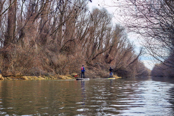 日落时分，父子俩在平静的秋天多瑙河上划桨。家庭观念、水上旅游、健康生活方式、休闲娱乐图片下载