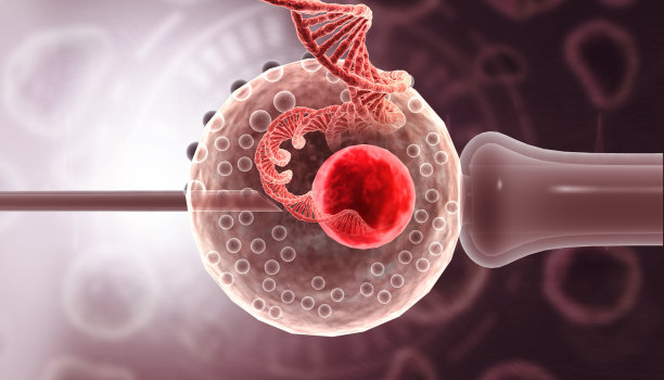 用dna链进行体外受精图片下载