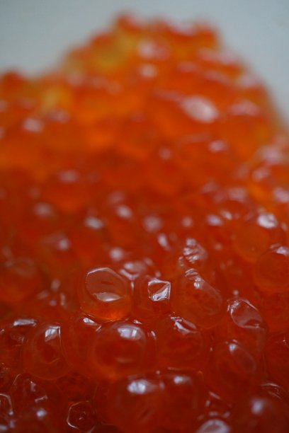红鱼子酱特写：三文鱼鱼子酱图片下载