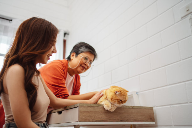 快乐的亚洲妇女和年长的母亲在家里和可爱的猫玩耍。宠物的友谊和人类的生活方式。图片下载