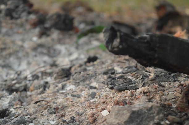 燃烧有机废物，如木头、干树枝和树叶、灰烬和木炭后的残留物图片下载