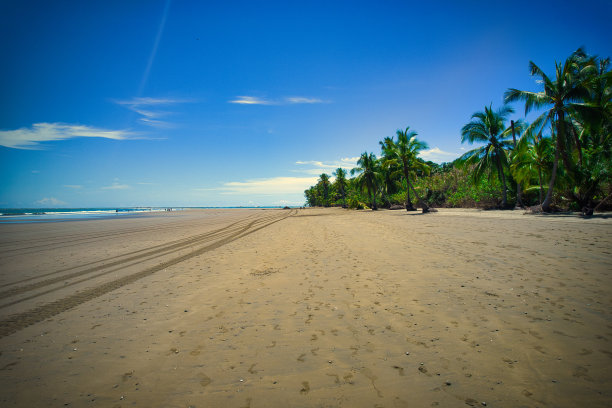 鸟瞰哥斯达黎加蓬塔雷纳斯乌维塔的巴伊亚巴雷纳国家公园。无人驾驶飞机的照片图片下载