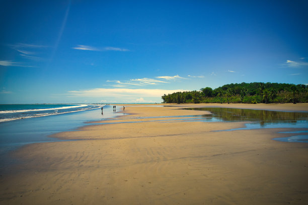 鸟瞰哥斯达黎加蓬塔雷纳斯乌维塔的巴伊亚巴雷纳国家公园。无人驾驶飞机的照片图片下载