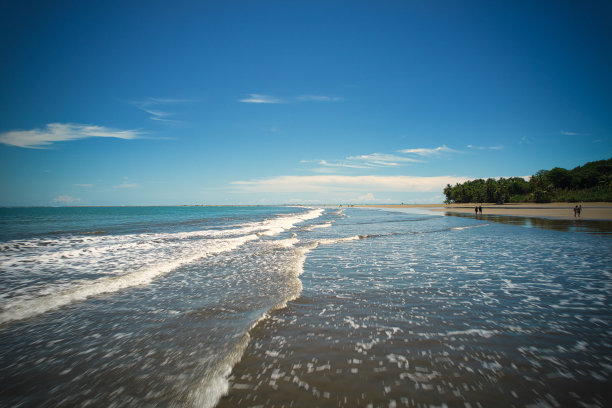 鸟瞰哥斯达黎加蓬塔雷纳斯乌维塔的巴伊亚巴雷纳国家公园。无人驾驶飞机的照片图片下载